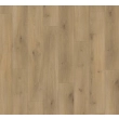 Parador panel laminowany BASIC 400 (4V) dąb horizont naturalny 1593797