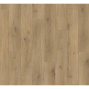 Parador panel laminowany BASIC 400 (4V) dąb horizont naturalny 1593797