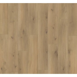 Parador panel laminowany BASIC 200 (4V) dąb horizont wapnowany 1594001