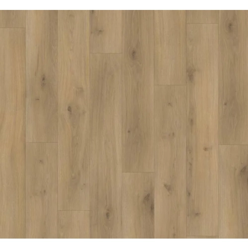 Parador panel laminowany BASIC 400 (4V) dąb horizont naturalny 1593797