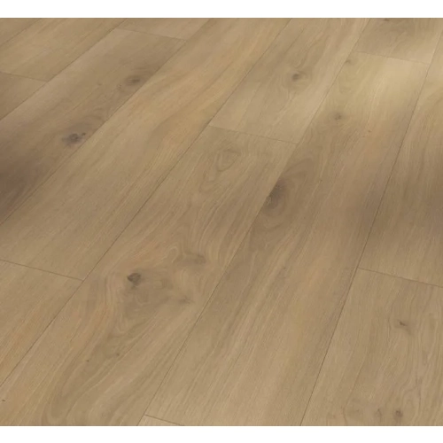 Parador panel laminowany BASIC 400 (4V) dąb horizont naturalny 1593797