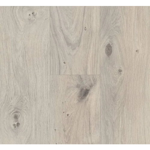 Parador panel laminowany BASIC 400 (4V) dąb naturalny szary 1593798