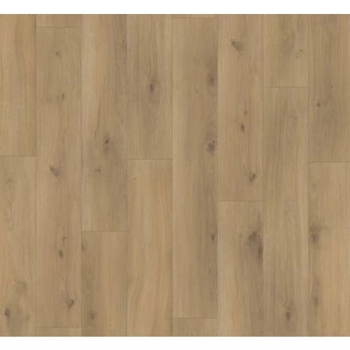 Parador panel laminowany BASIC 200 (4V) dąb horizont wapnowany 1594001