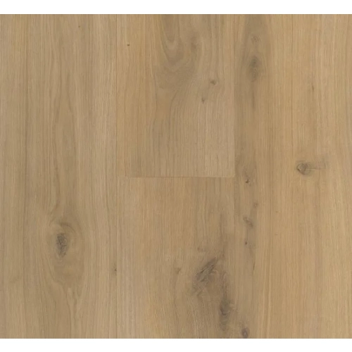 Parador panel laminowany BASIC 200 (4V) dąb horizont wapnowany 1594001